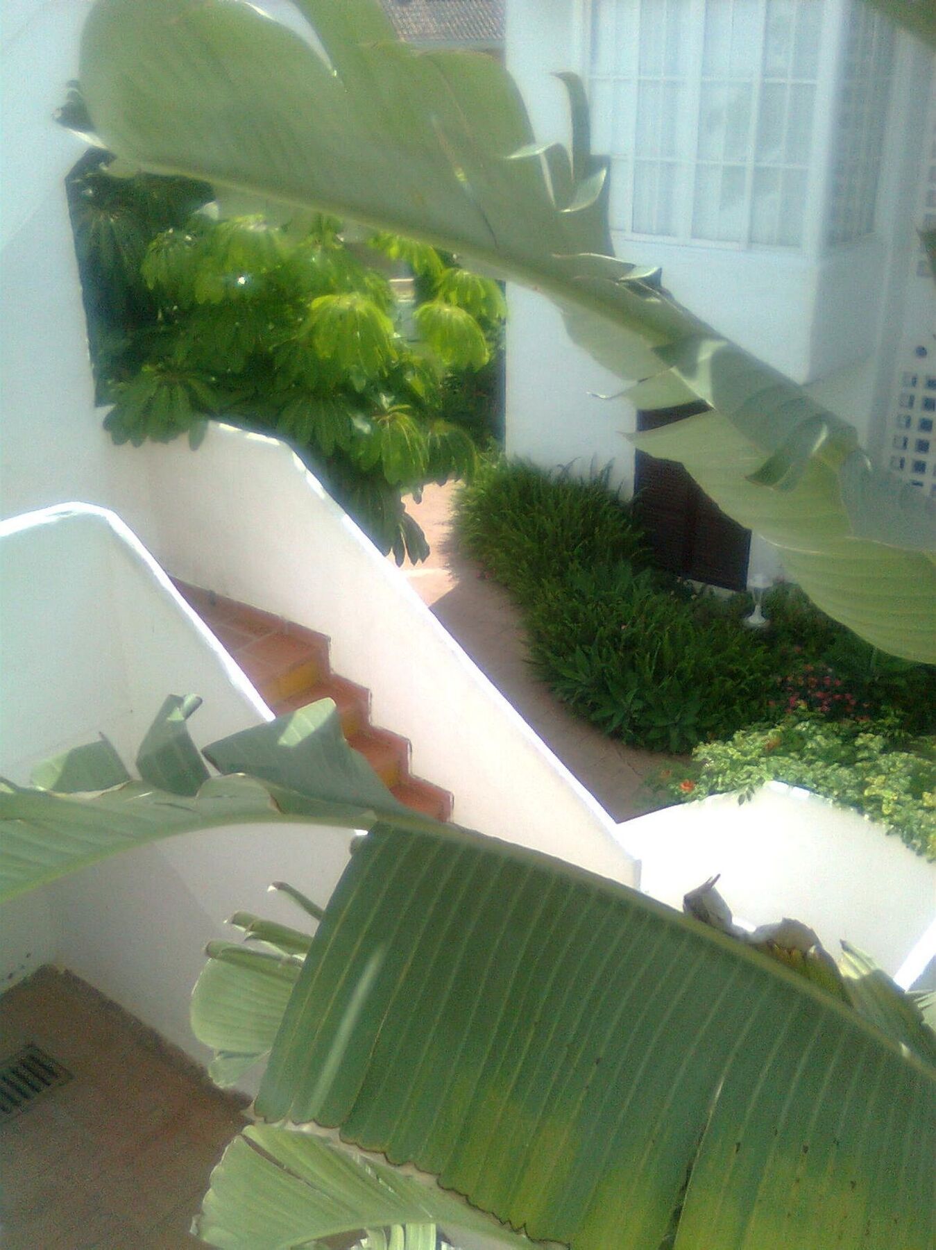Apartment With 2 Rooms In Estepona, With Pool Access And Furnished Bal Ngoại thất bức ảnh
