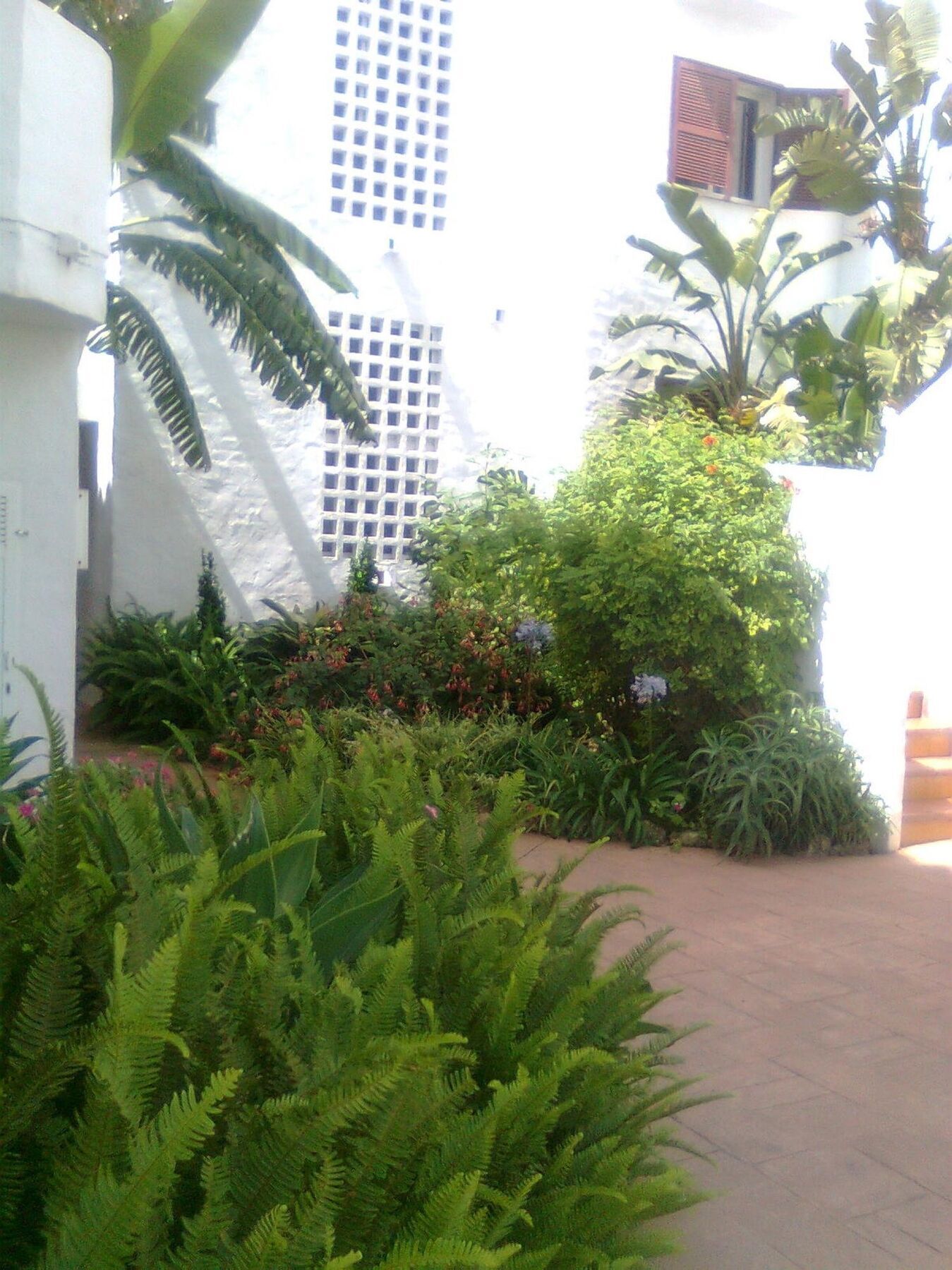 Apartment With 2 Rooms In Estepona, With Pool Access And Furnished Bal Ngoại thất bức ảnh