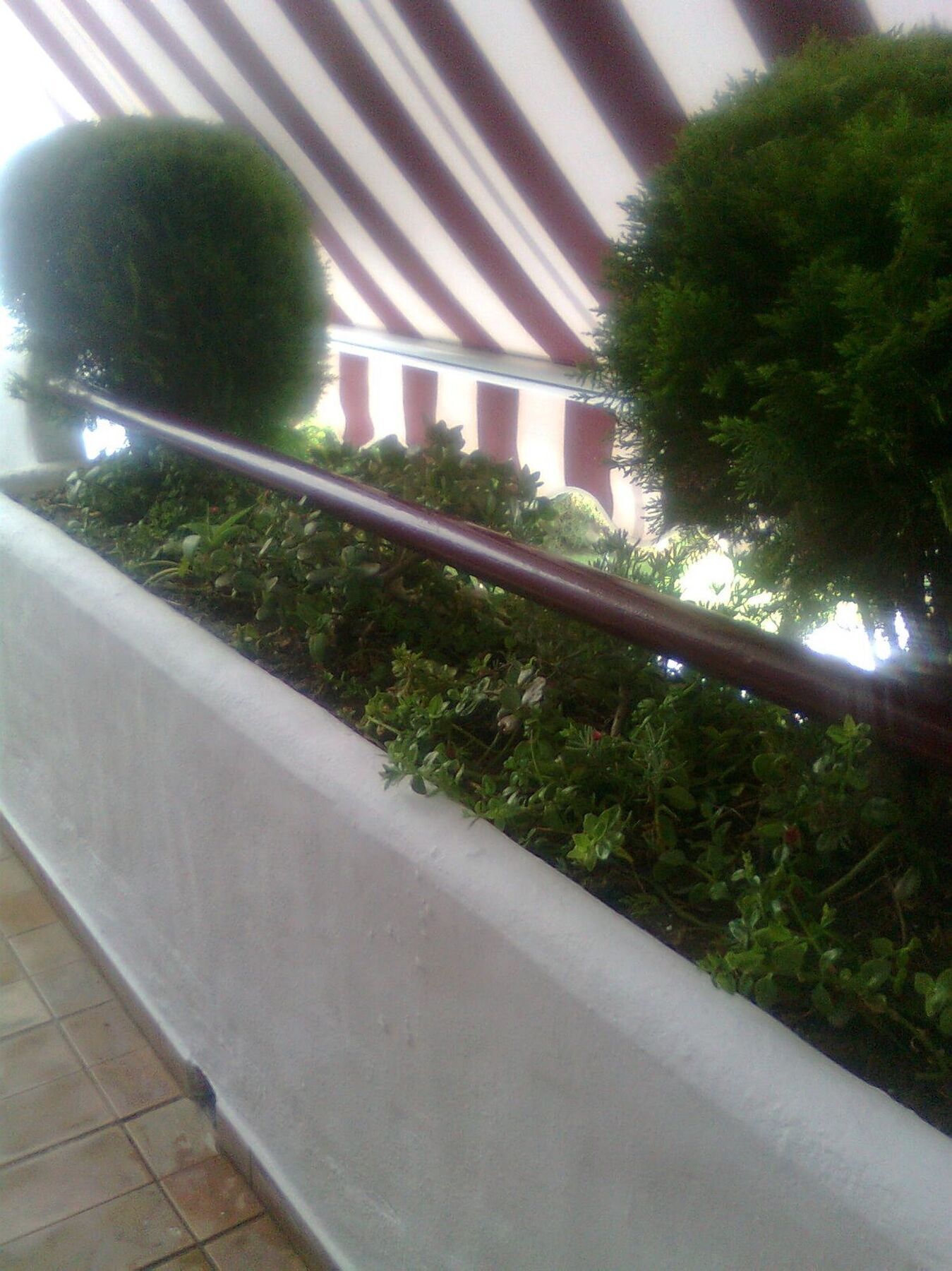 Apartment With 2 Rooms In Estepona, With Pool Access And Furnished Bal Ngoại thất bức ảnh