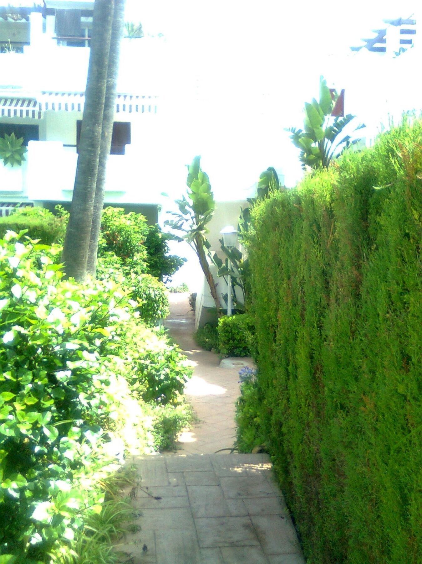 Apartment With 2 Rooms In Estepona, With Pool Access And Furnished Bal Ngoại thất bức ảnh
